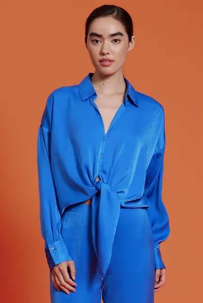 Blue Envy Button Down Top